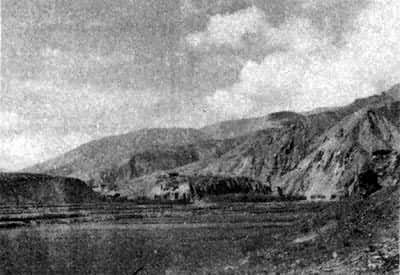 ���޸ɲ�֮Ĺ