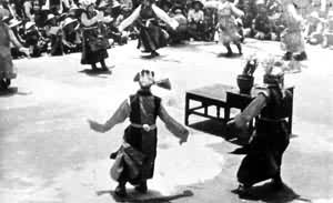 ���������ڵ��赸�