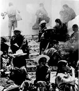 Σ������ӡ�ڰ���