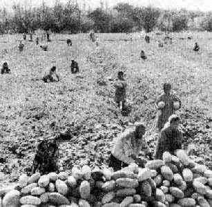 �½��ز����ܹ�