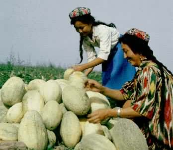 �½�ά���������ʢ�������ѳ���������