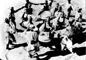 �ڿ��������赸