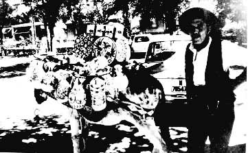 ��������������������