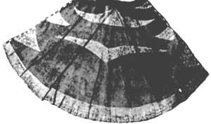 ��������һ������ë��