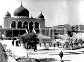 ���Ļ����������������Ϲ�������