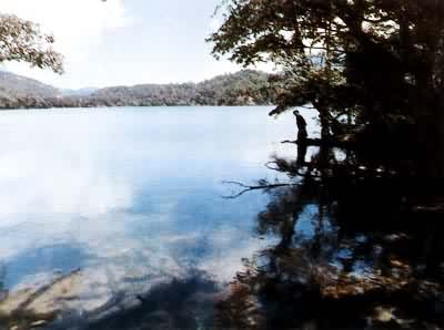 �ͺ�������ַ