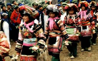 ����Ĳ廨��