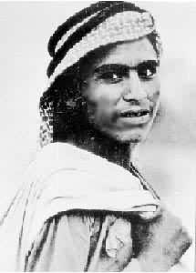 Լ����������