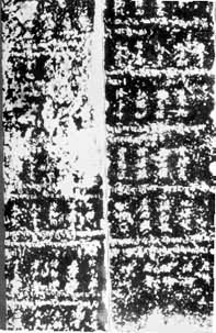 ��ެ���˱�����Ϊ�μӻ��˵���ެ��Ա�������غ��Ķ��գ���18�ˣ���Ϊ�μӻ��˵���͢��Ա�������غ��Ķ��գ���17��