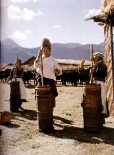 �����ͣ����壩