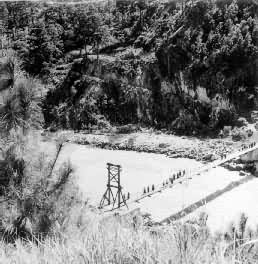 ����ɣ�����ϵĵ���