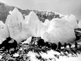 ���ظ�ԭ�ϵ���ţ�����