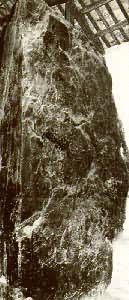 ��گ�»���