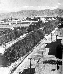 �ຣʡ���ľ������˳���----���ľ�з�ò