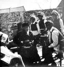 ����������˵����������