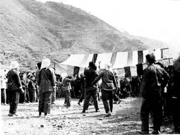 ׳��������ʢ��������