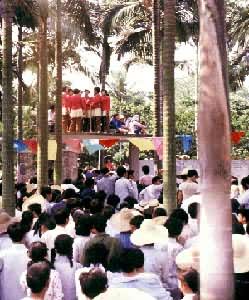 ׳�������������