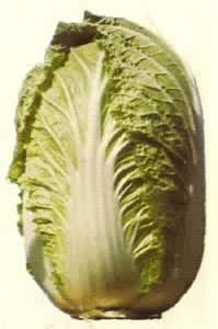 ��ɽ��ͷ��