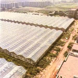 ռ����ʮĶ���й��ҿ�Ժ������