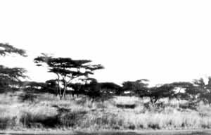 ͼ2 ���������Ǿ���