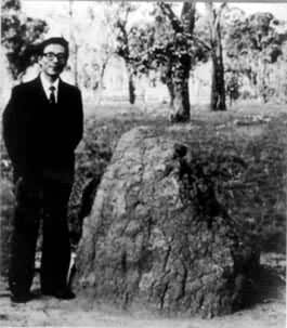 ͼ3 �������еİ�����