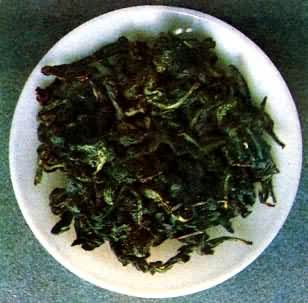 ������Ҷ