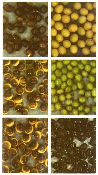 ��ͬ��ɫ�Ĵ�����