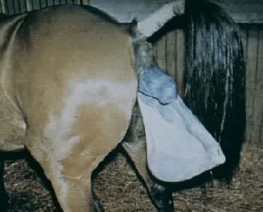 ���ڷ���