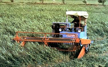 ���ѹ���