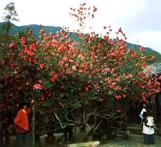 ����ʡ����ɽ�ŵġ�ɽ��֮����