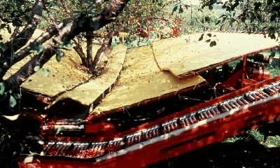 ��е����ӣ��