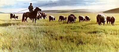 �ڸ������þ���