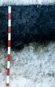 �ڸ�������ͼ