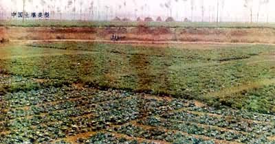 ���������þ���