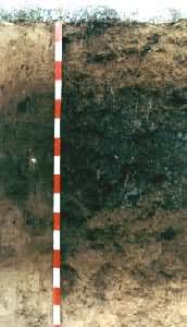 ����������ͼ