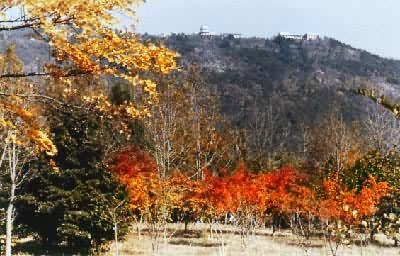 ���������þ���