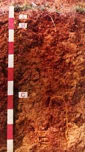 ����������ͼ