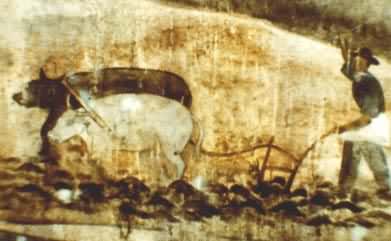 �ƴ���ԯ��