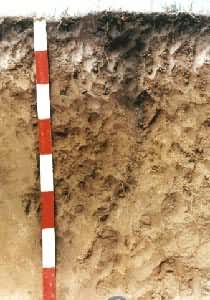 ����������ͼ