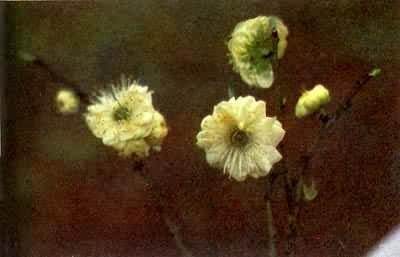 ��Ǯ����