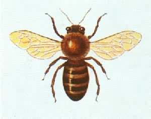 ��������䣨���䣩