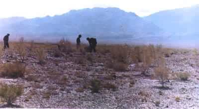 Į�����þ���