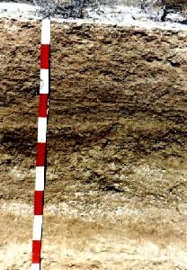 Į������ͼ