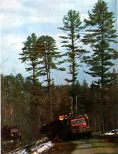 �����˲�