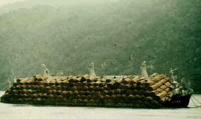 ľ��װ������