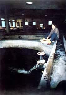 ���õ�������