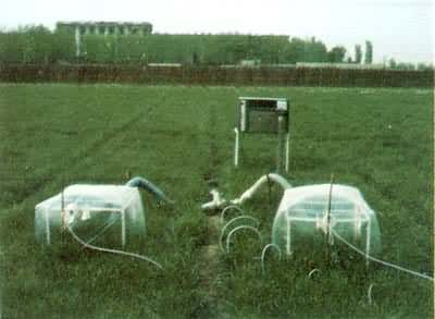 �ⶨС��Ⱥ����ǿ��