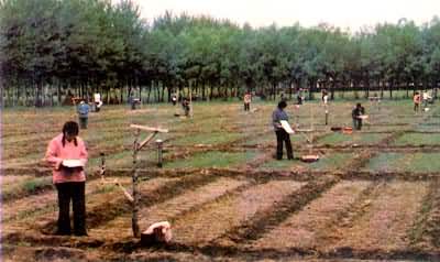 �ⶨ�ִ��ķ���Ч��