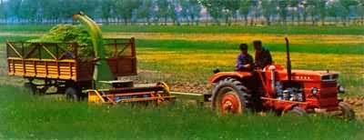 �������ջ��