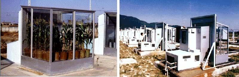 ��Ȼ���˹������������